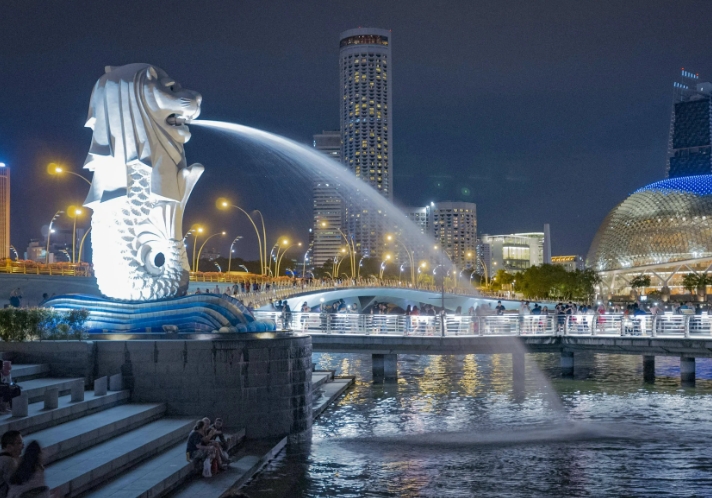 SGAC入境卡如何保留？