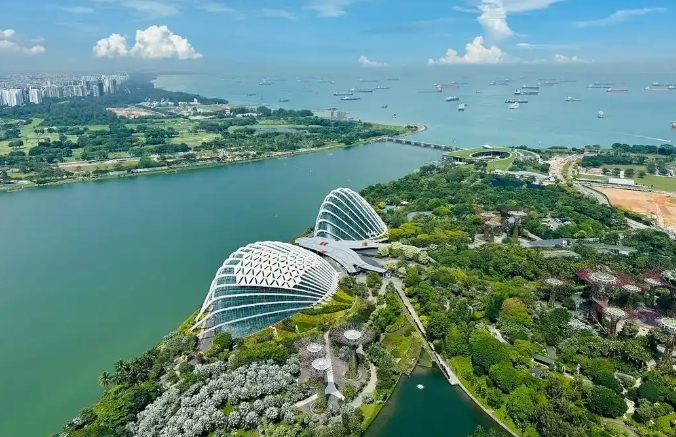 谁需要填写新加坡入境卡？