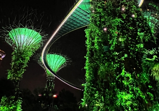 什么时候可以申请SGAC入境卡？